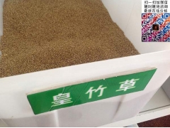 買皇竹草多少錢一斤合算？