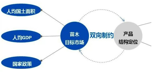學習國外苗木行業(yè)經(jīng)驗，搶先了解國內(nèi)市場動態(tài)