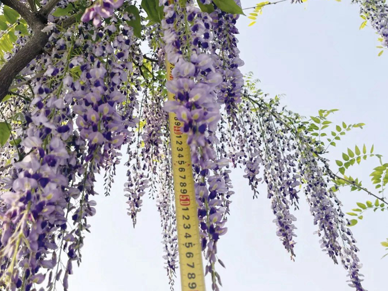 1673082029337907.jpg 微信圖片_20220818221258.jpg