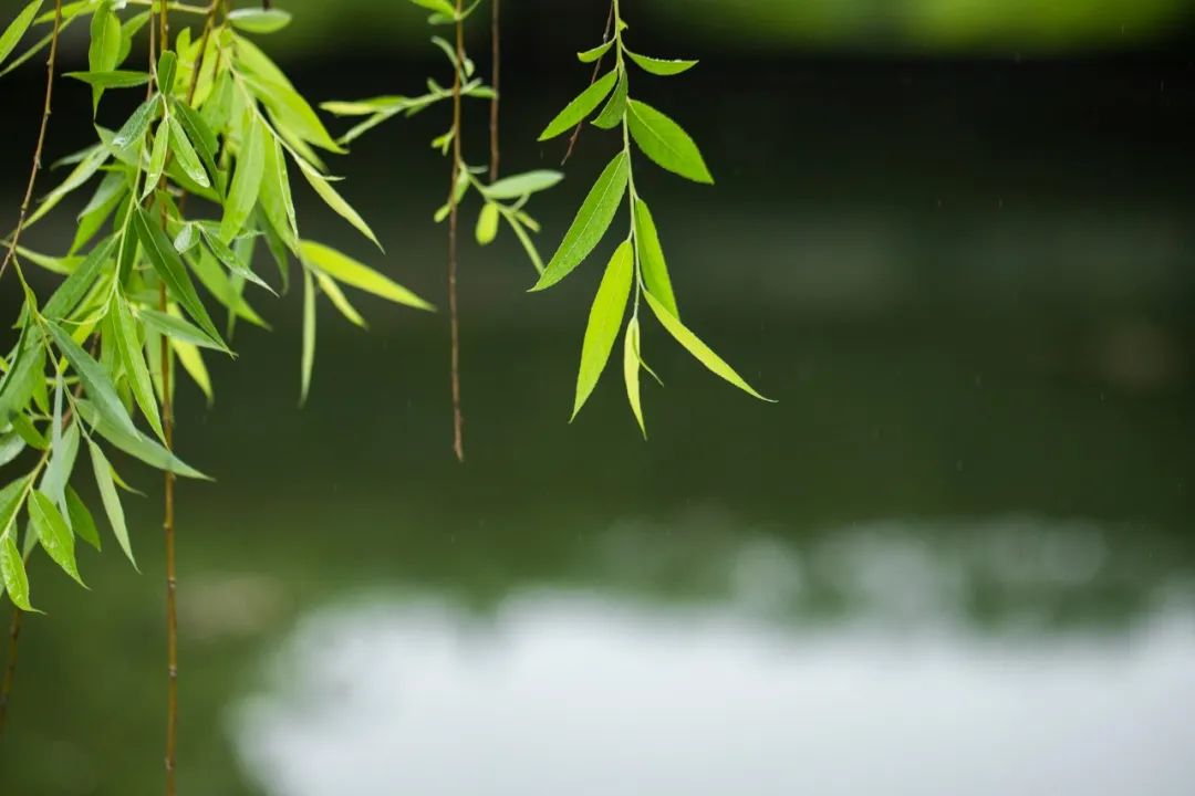 1675198208487615.jpg 微信圖片_20230102170421.jpg